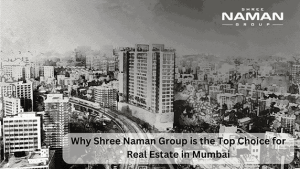 Why-Shree-Naman-Group-is-the-Top-Choice-for-Real-Estate-in-Mumbai